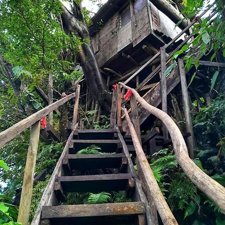 Castle Tree House And Bungalow White Sands Luaran gambar