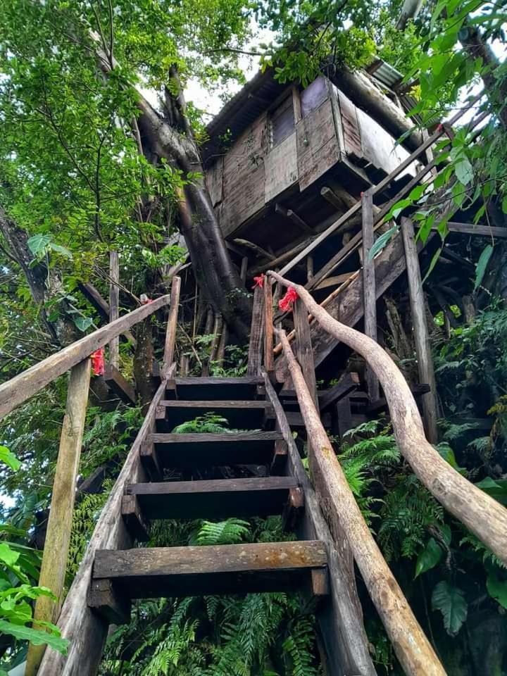 Castle Tree House And Bungalow White Sands Luaran gambar