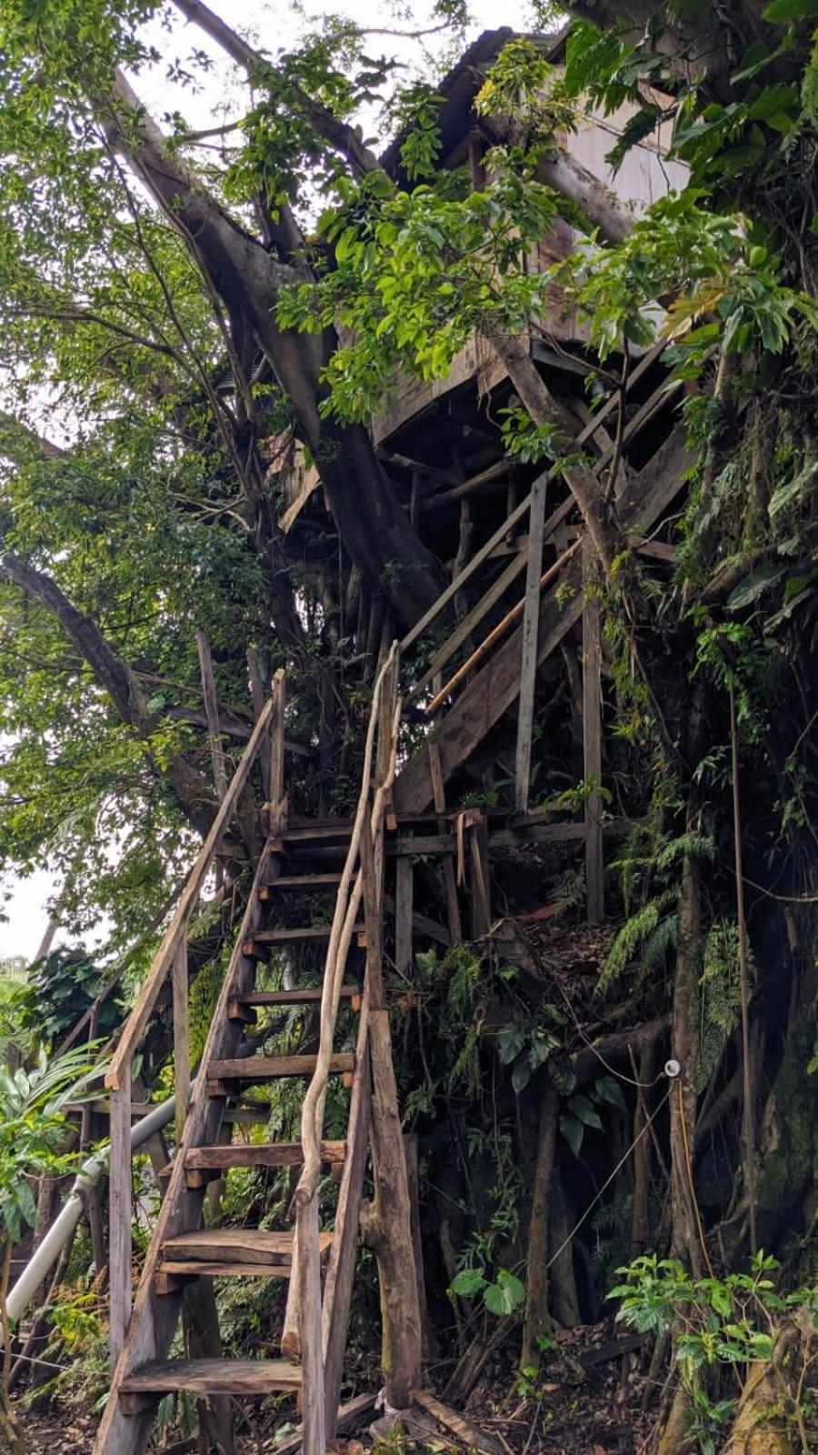 Castle Tree House And Bungalow White Sands Luaran gambar