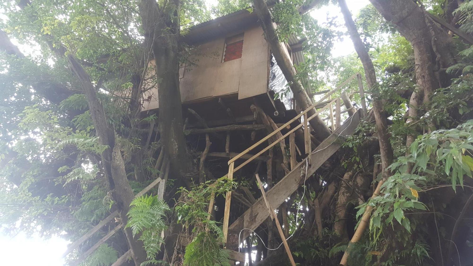 Castle Tree House And Bungalow White Sands Bilik gambar