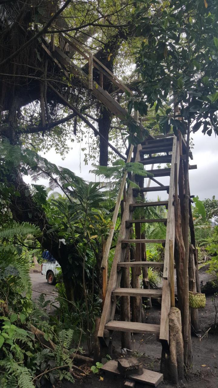 Castle Tree House And Bungalow White Sands Luaran gambar