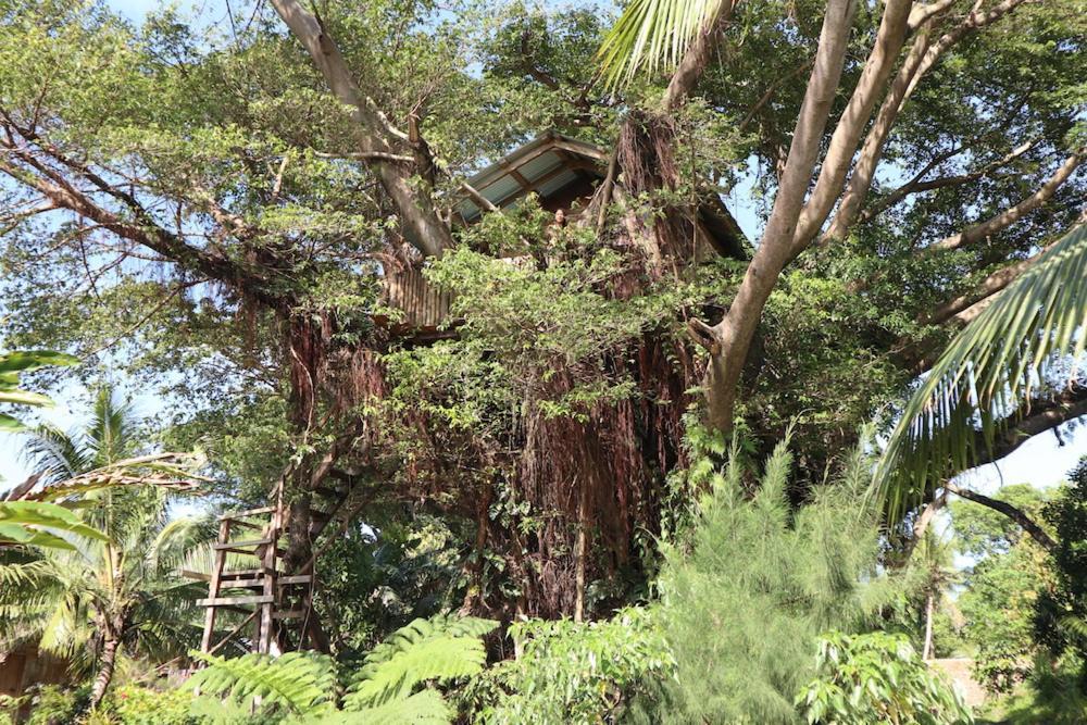 Castle Tree House And Bungalow White Sands Luaran gambar