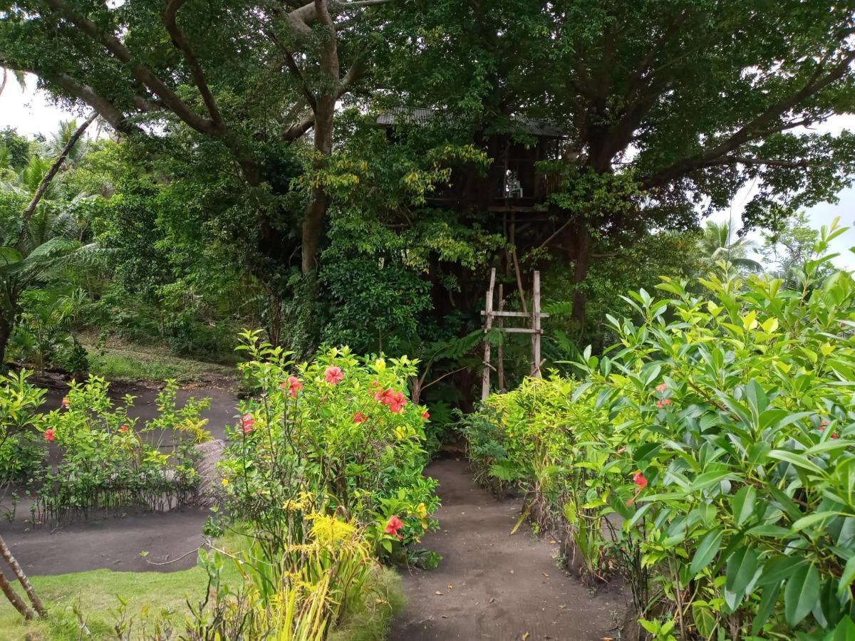 Castle Tree House And Bungalow White Sands Luaran gambar